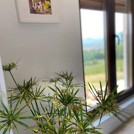 Casa de Férias Casa Rinocerontes