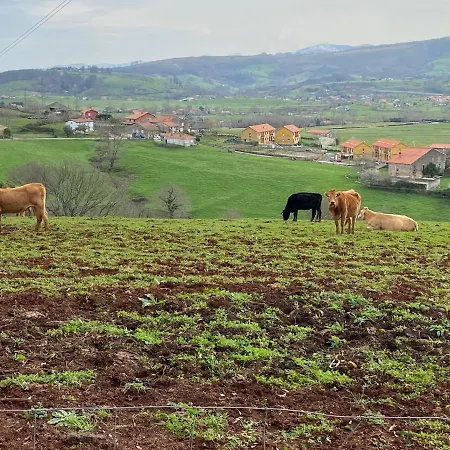 Casa Rinocerontes Feriehus