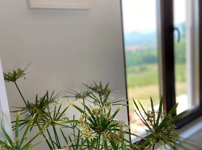 Hébergement de vacances Casa Rinocerontes