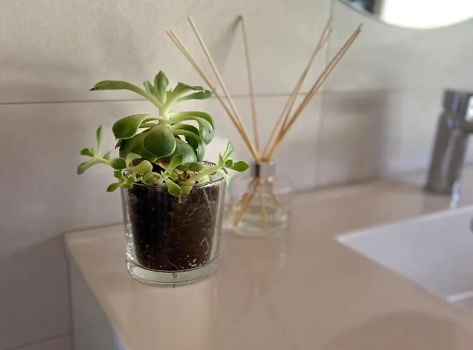 Casa Rinocerontes Penagos