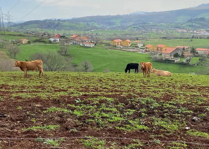 Casa Rinocerontes Holiday home